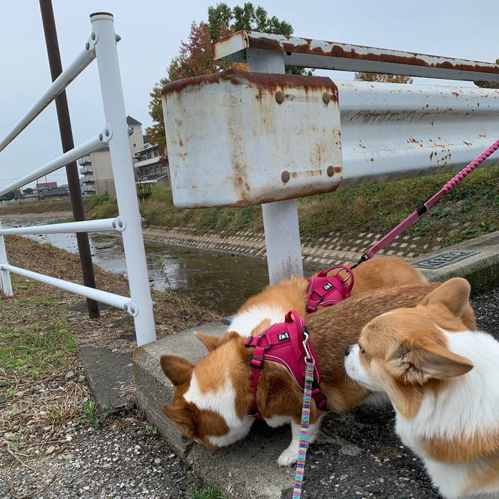 E31332a8 0fb4 4b0e 8173 9bf114b91512 1699582078294