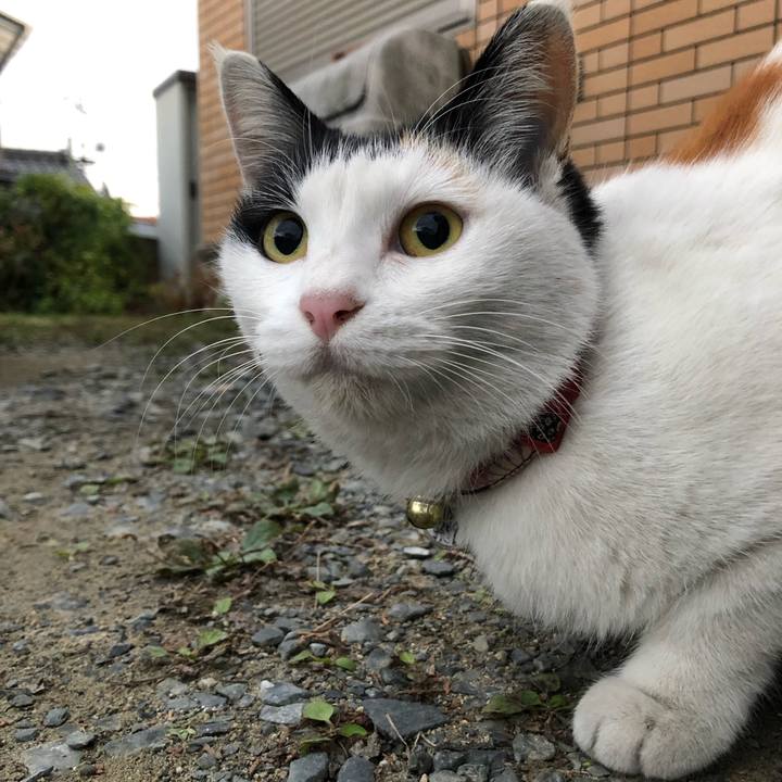 E313352b e638 4720 abfc ec4a4959dff8 1607033769813