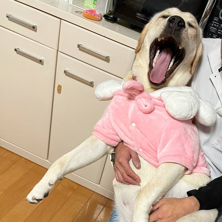 E31342e1 719f 4808 81a0 8b1d645d14dc 1634821741828