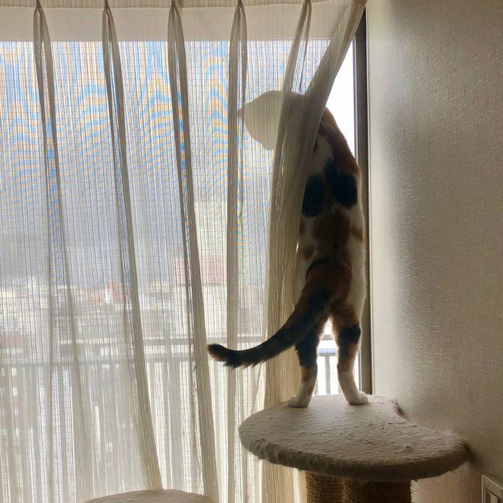 E31363c4 497c 4a4a b587 d2355fce825e 1598830661418