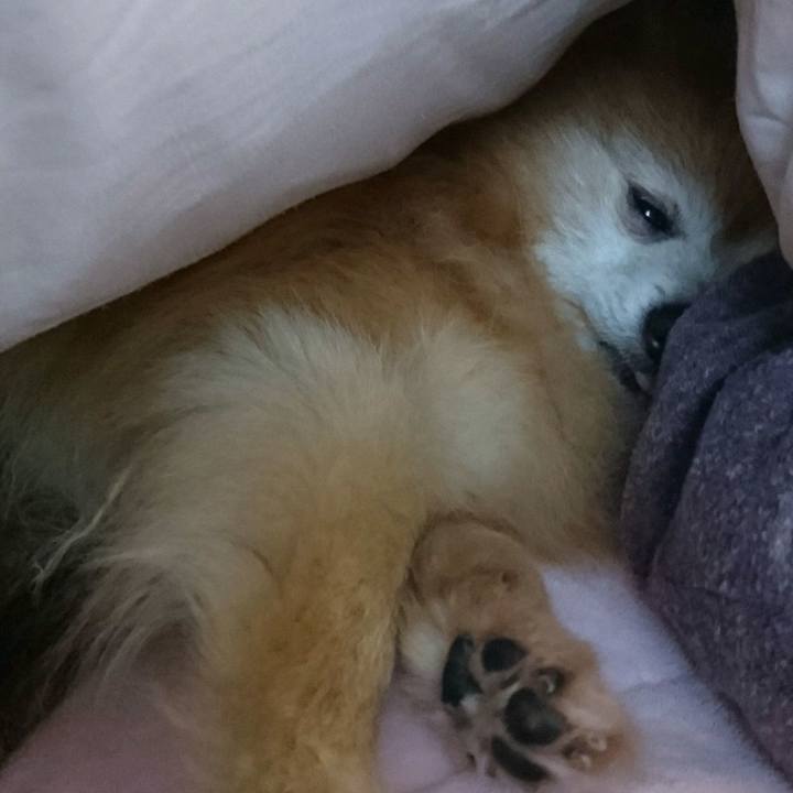 E3137ce8 c58b 456e acd4 38679e90f0f7 1585005942504