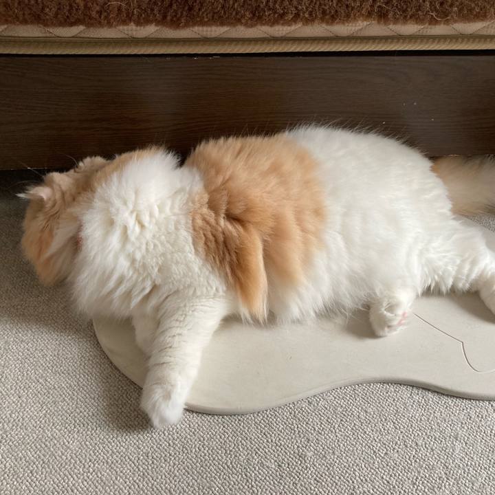 E313d28c b85a 4822 bf4b 5ceb47e683b8 1657112244576