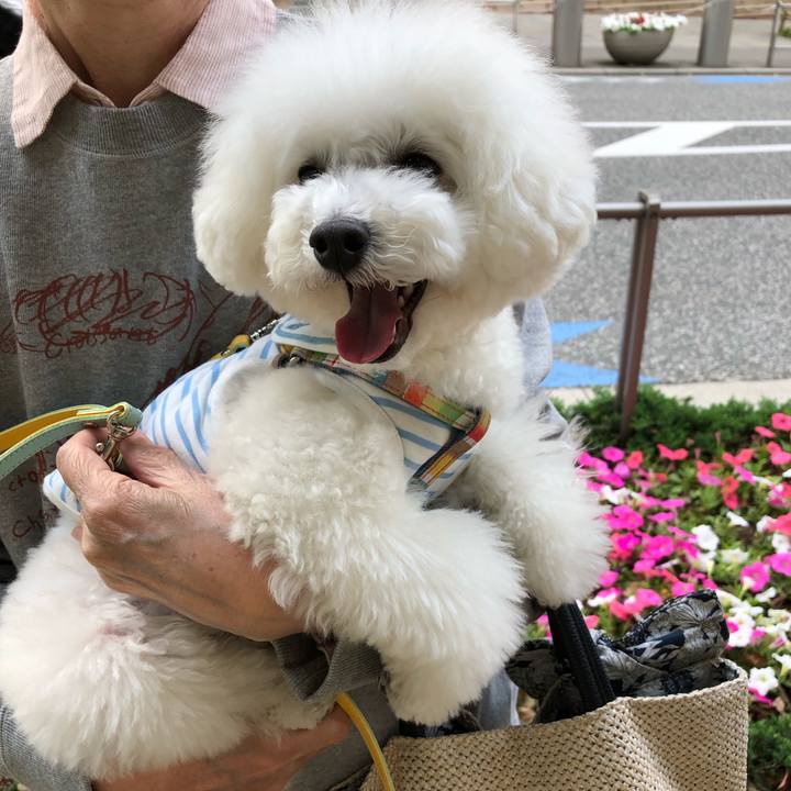 E313dd8d dd9f 4bf3 94bf f6c2cbb8b534 1557907948019