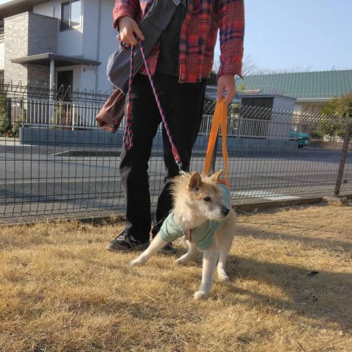 E3143d8b 0083 4436 8de8 b1564ed76670 1647076848714