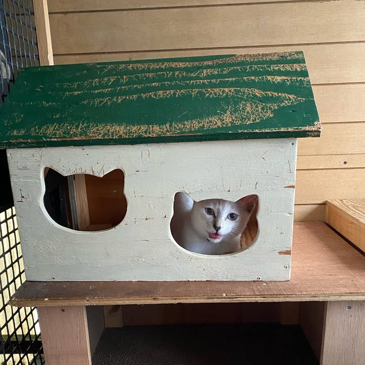 E3144ede 33be 4a4d 8184 492c609bba6e 1629423704204