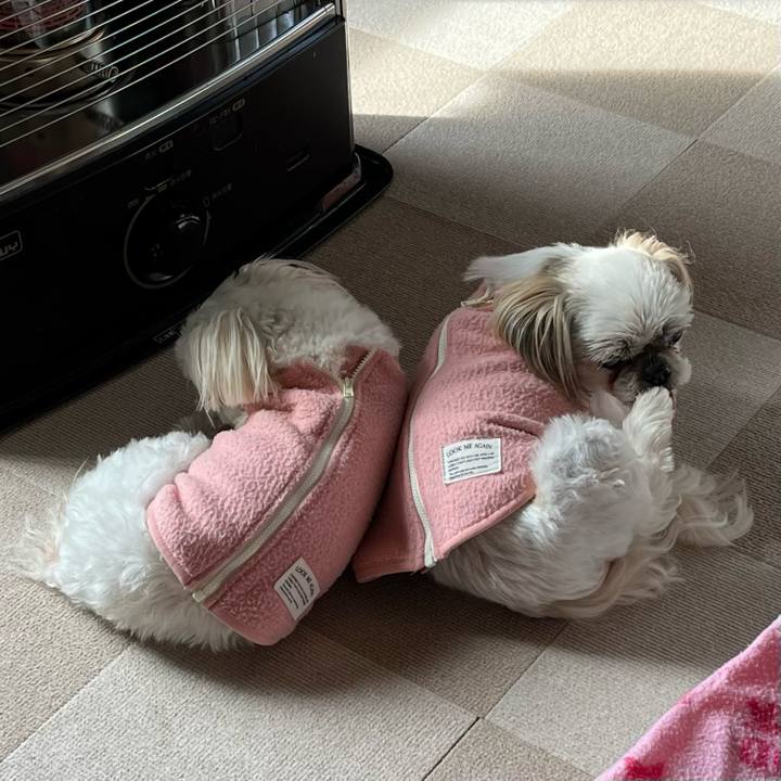 E3146d10 d521 4557 b665 e6af9e662af1 1737267823987