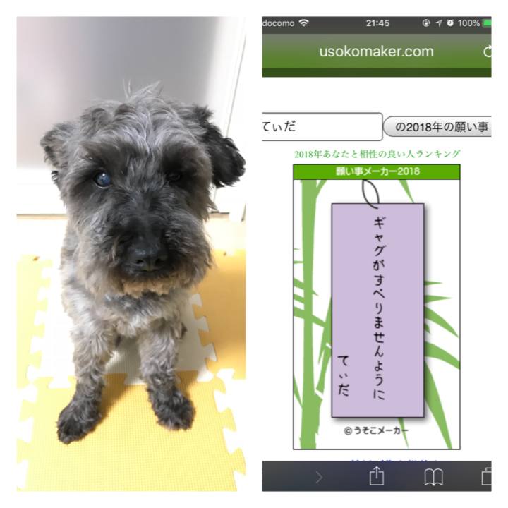 E3147f12 0976 421d bd90 7029aaec46bd 1530968541323