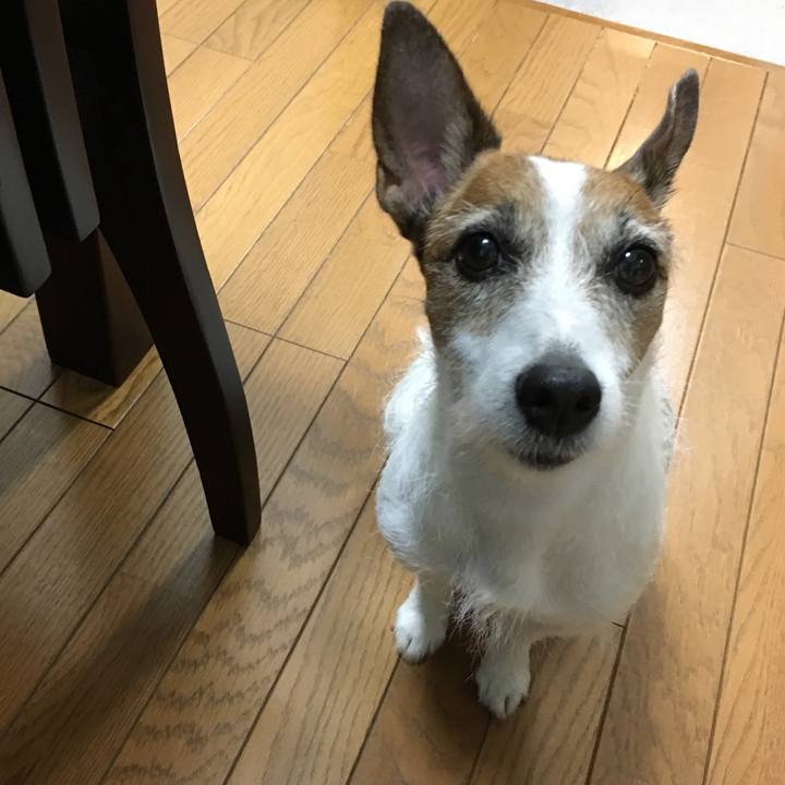 E314a0d8 25df 4062 a24f 49edee64d894 1563920867370