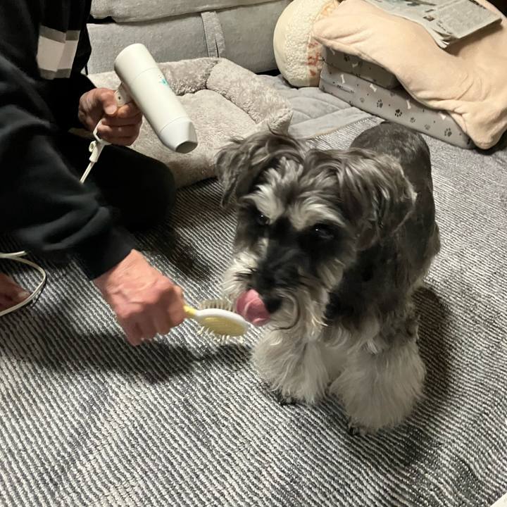 E314b819 80a8 4661 8ebe 1ea179a4ffb3 1772575182072