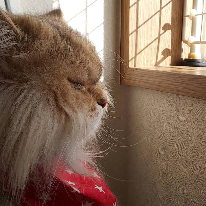 E314cac1 db3a 4e14 b0eb a257701ded3d 1613707722760