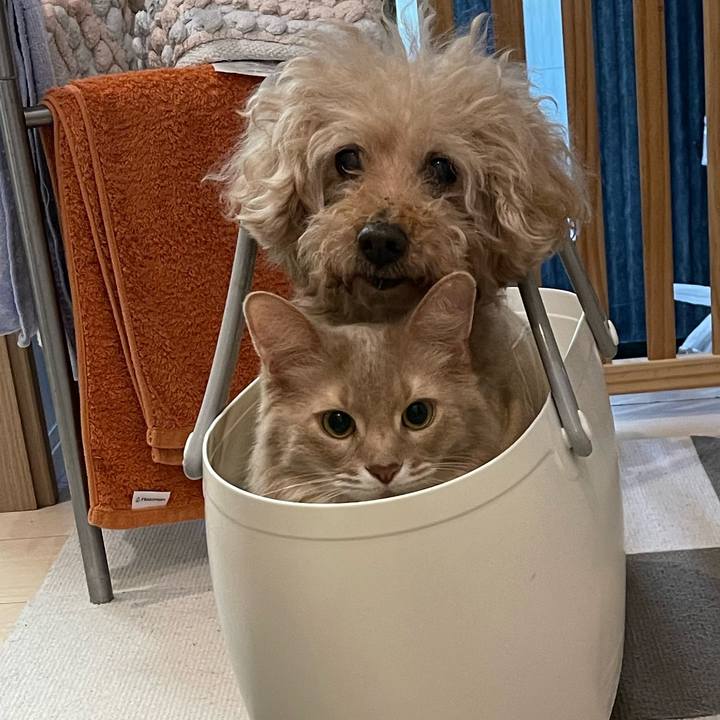 E3152376 7fa9 42bd 9294 fafb2adbc909 1744762364159