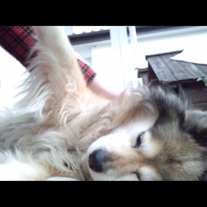 E31570b5 632d 4843 8dbe 947bcdaefb5c 1586185040473