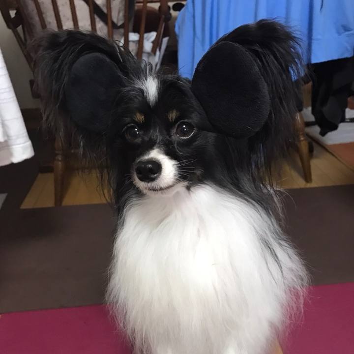 E31576ba 53e6 4055 9736 483529dfdd19 1572161335060