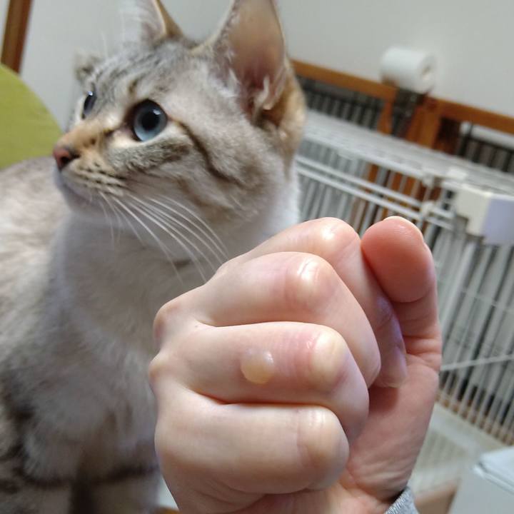 E315821b f4fa 4523 b978 ad5343396f3e 1677669071787