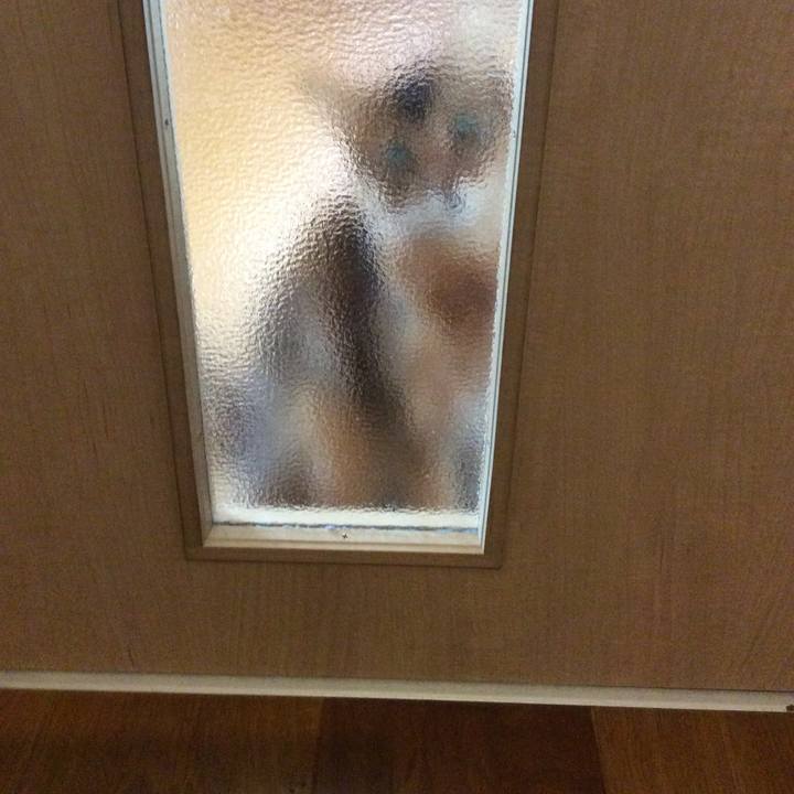 E31585cf 37e9 42f3 b975 e017f26e05a0 1566868950440