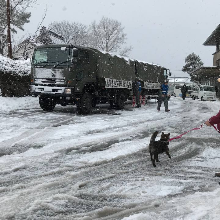 E3159308 0e9f 4446 96c0 0280f328c9a1 1517204341607