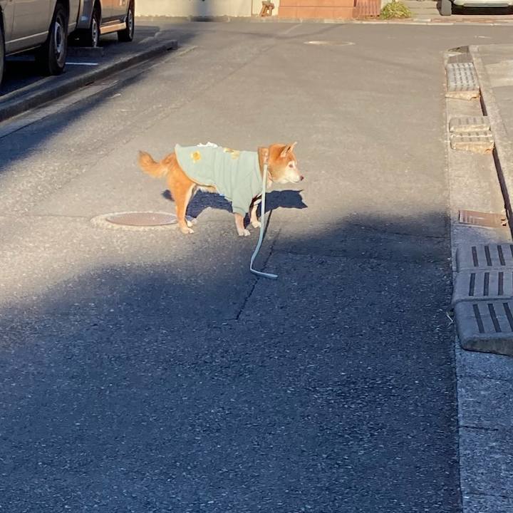 E315c873 43bb 4159 b177 428d60b8c991 1738108047697