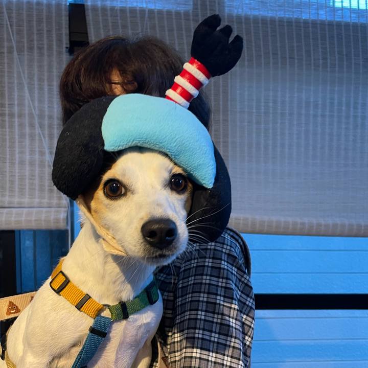 E315e5e7 b9ae 467b 9f93 ae90aa3a5280 1669258011040