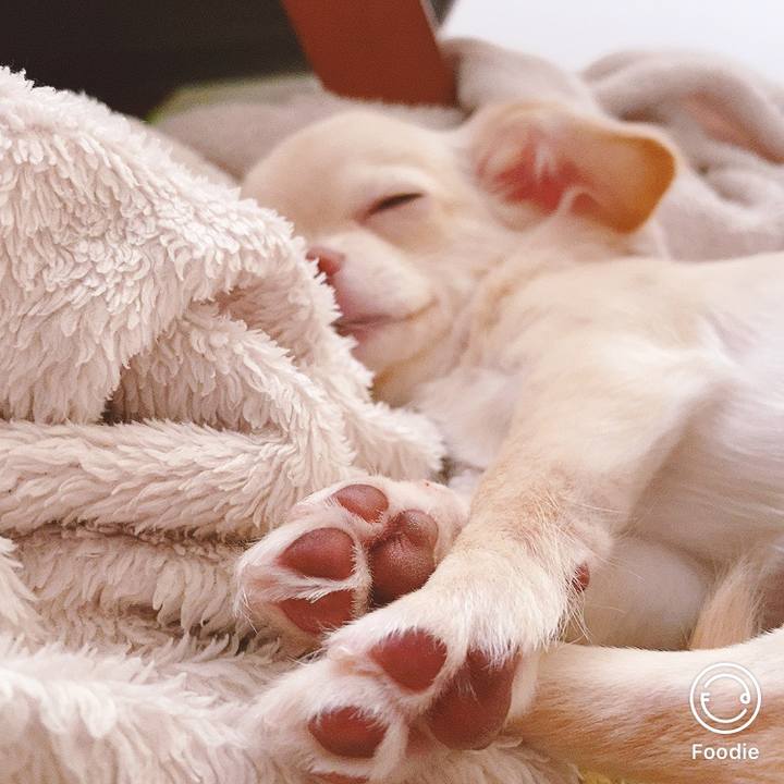 E315ecf7 2a59 407a 8099 b544d56277ff 1598494245783