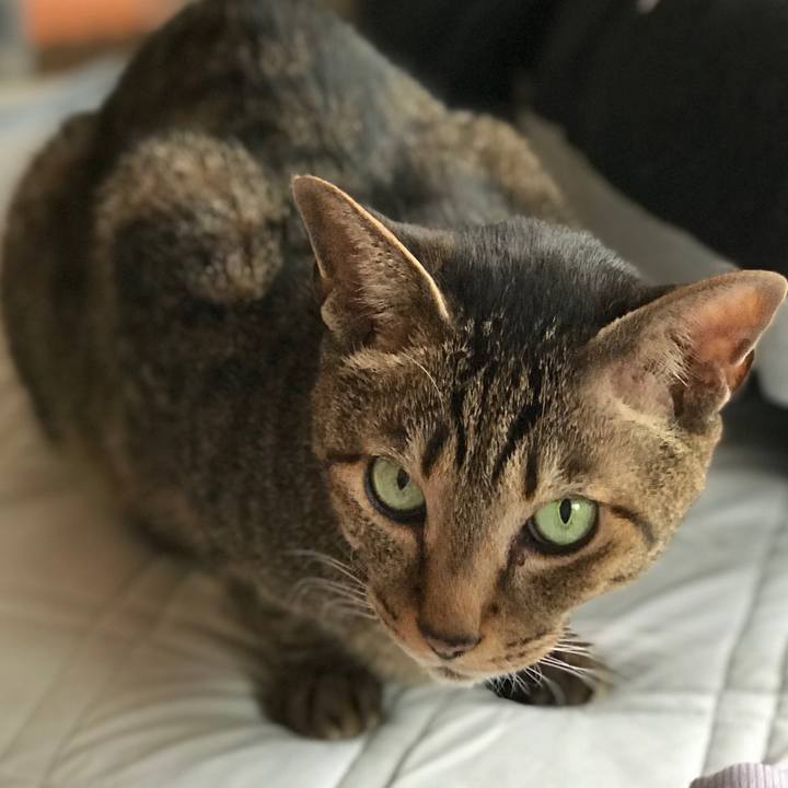 E3168f97 947f 46b7 8f62 0c56a5a0afbb 1523841122884