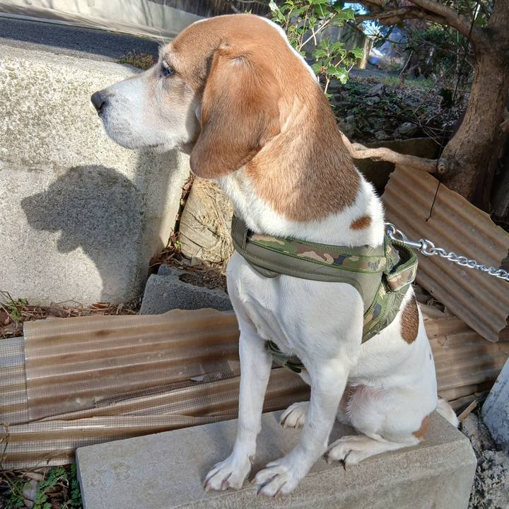 E3169248 35ef 4940 8788 8a25fd207afb 1770184202233