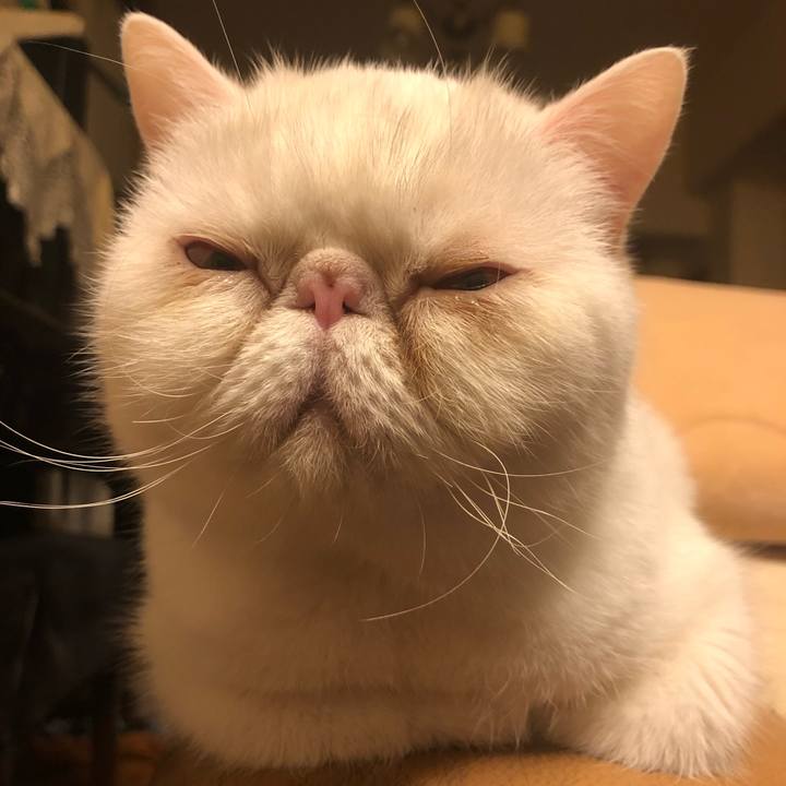 E3169e73 810f 4fd8 ad76 0b887ce302da 1643194385764