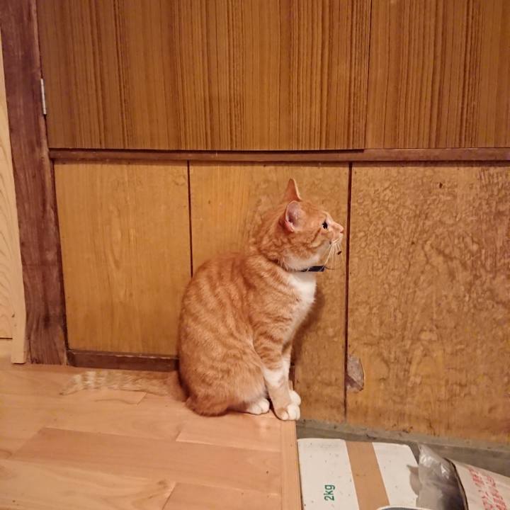 E316a4a4 e1dc 4f67 bcf8 e7dbd1f5135f 1599737798889