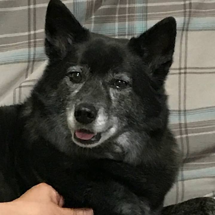 E316d3c9 84cd 4867 8075 22daea446519 1524574333238