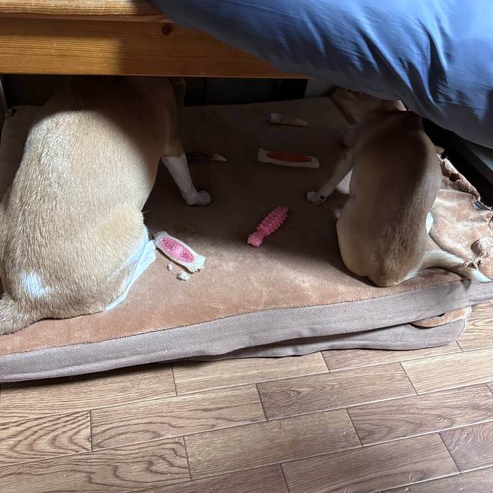 E316dff6 98bc 4ea8 88d6 38d34c9a5b62 1686011466796