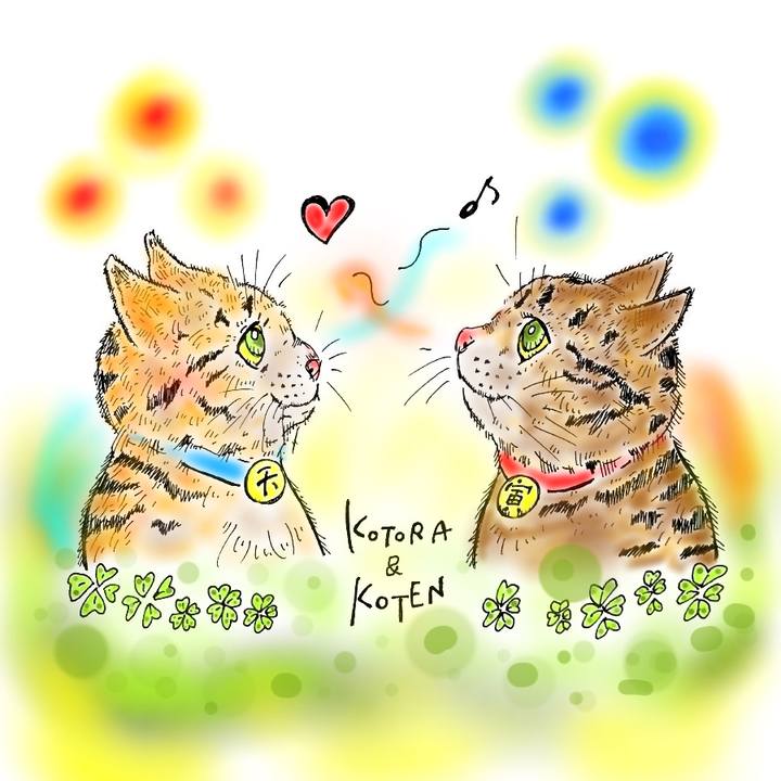 E3170422 d398 4b13 adad 1c092c5dad0a 1570972581116