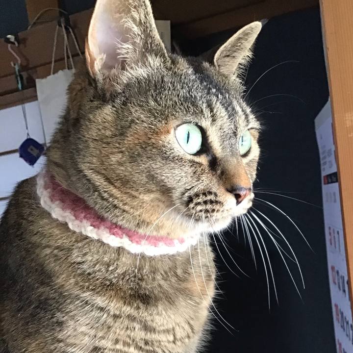 E3173488 8015 4678 b738 e0d7df7affd5 1715411358331