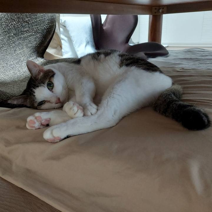 E3176662 9550 4578 818f fe4a2a1db884 1635284353930