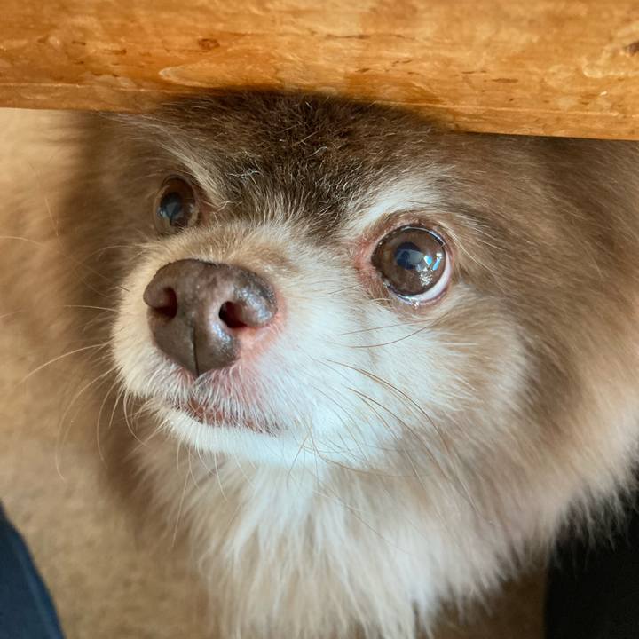 E3176778 1842 4cfc 93c8 7b9bb7ce669e 1681017581824