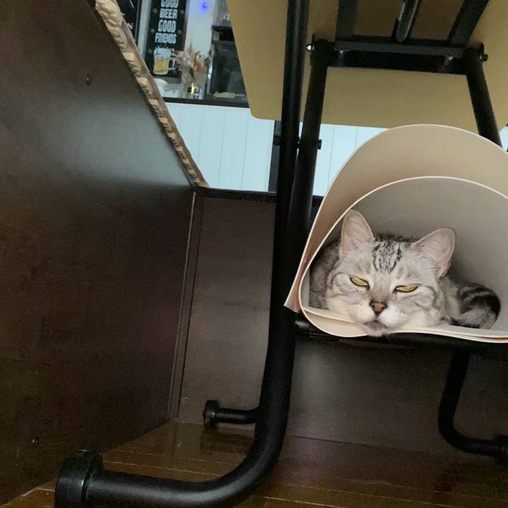 E317688d 51a7 45f0 955c 7e7b1feeeb53 1716559564659