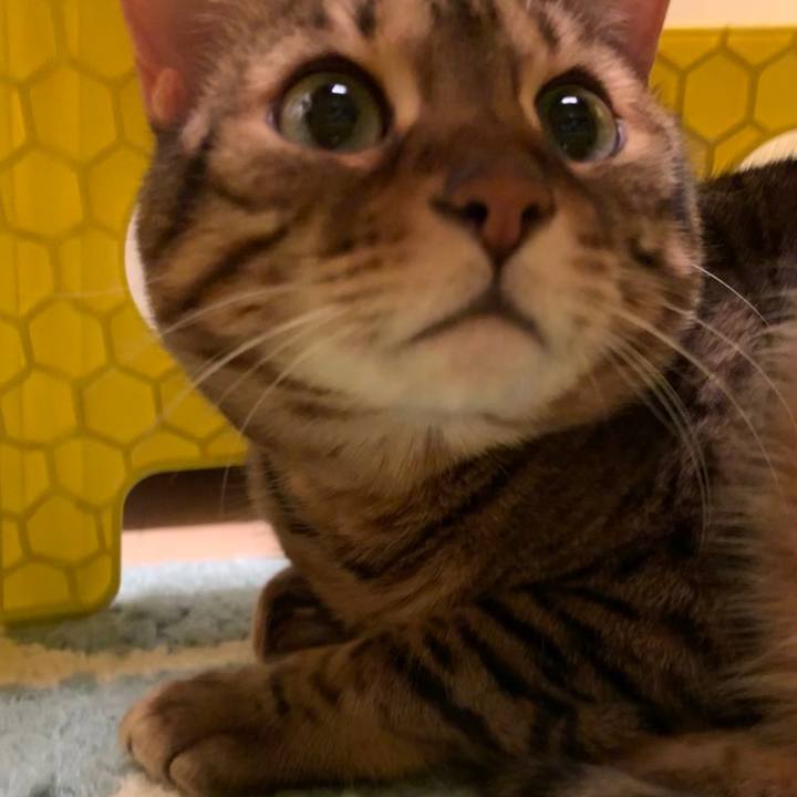 E3177885 7009 4562 b2d7 027e726225f2 1552262044173