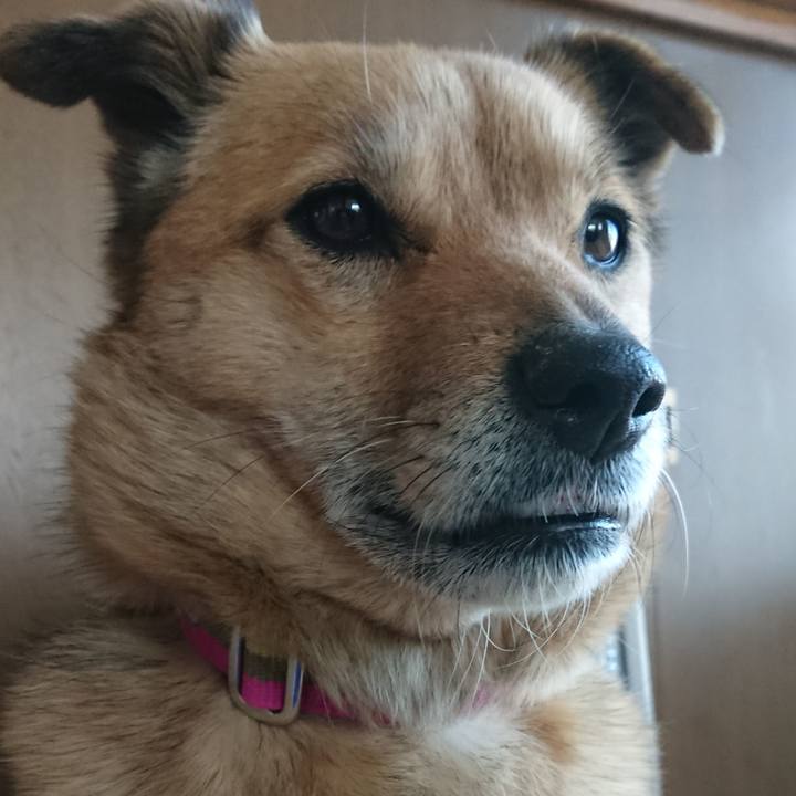 E317a5fe 6d55 4d85 a3a8 04a6e4a8750d 1612878738925