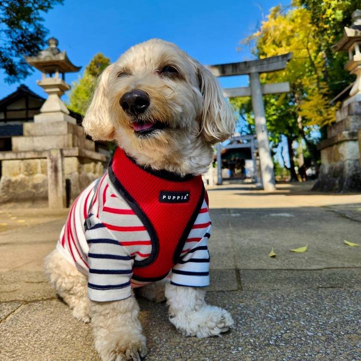 E317cbaa fbe6 4d9e 98c5 f026f1998866 1763104513577