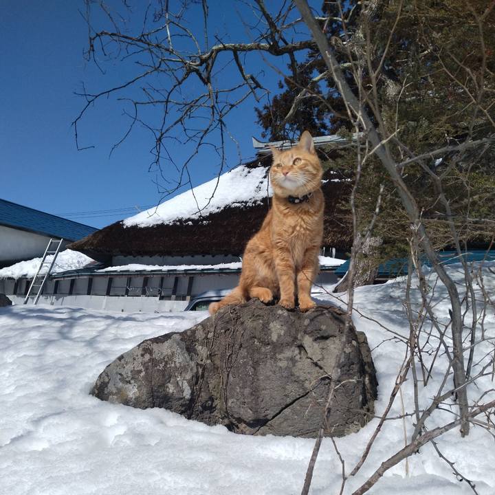 E317d3c5 ef97 478c afac 9f7e7c54a864 1676602219863