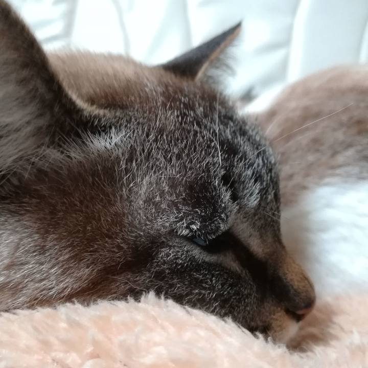 E318310b 14a7 4d8f 8849 22f071a58619 1578059718796