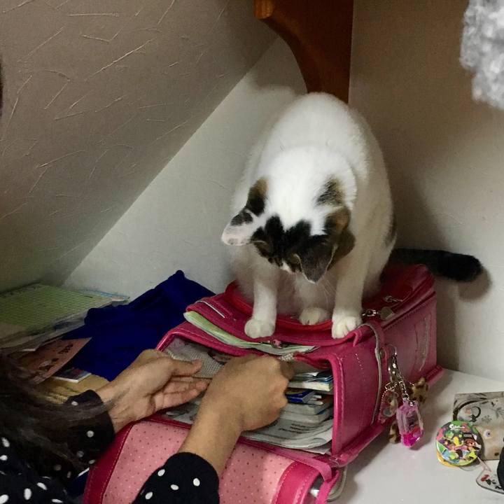 E3185985 686e 4a9c 9847 ebab42d92238 1511304518374