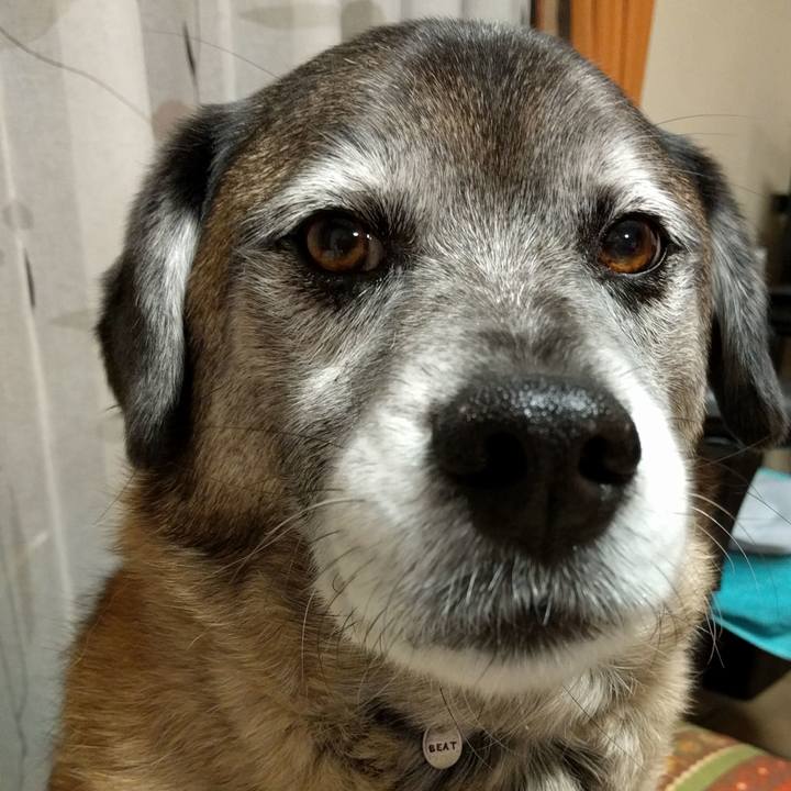 E3186ace d69e 4a6c 8aae 5dae3cb9b602 1519655323135