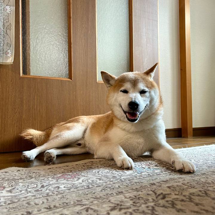 E3189c6f b7c9 4031 acc1 69e90514ffa3 1723285936423