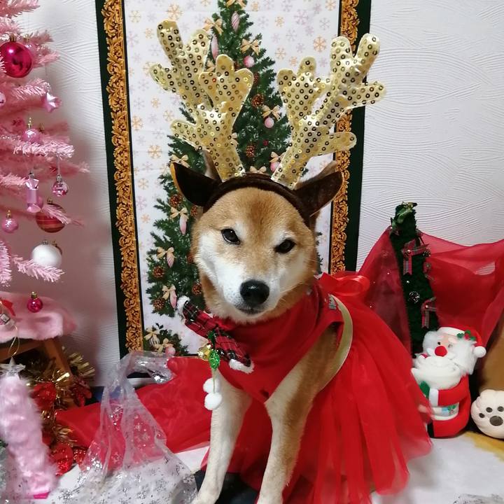 E318a2b3 b722 43a9 ab36 f346571b2584 1671965070235