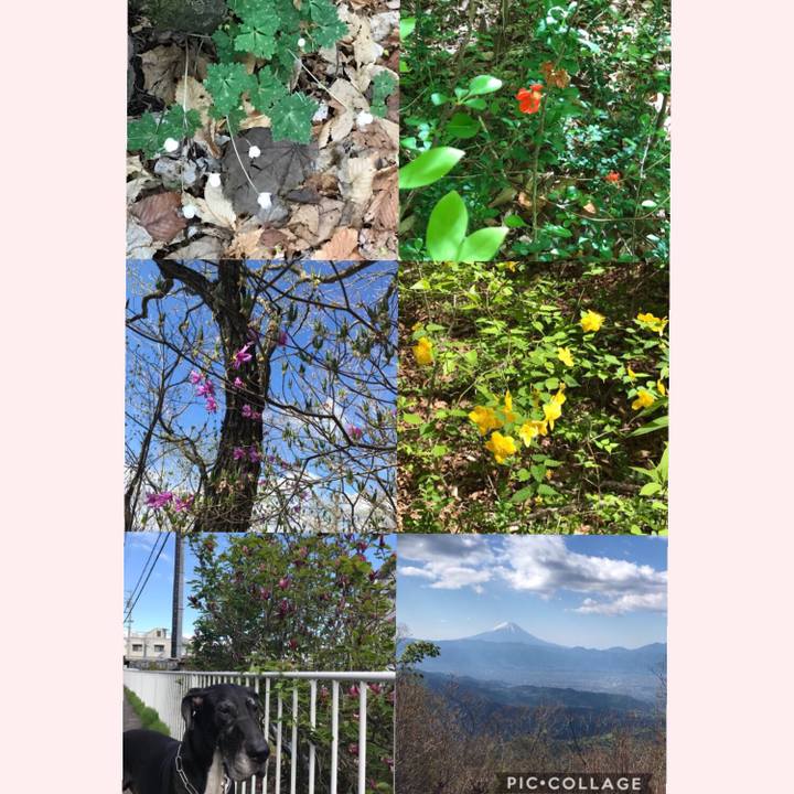 E318aaa6 24f5 423b a53f 17d16b1b47be 1525397464271