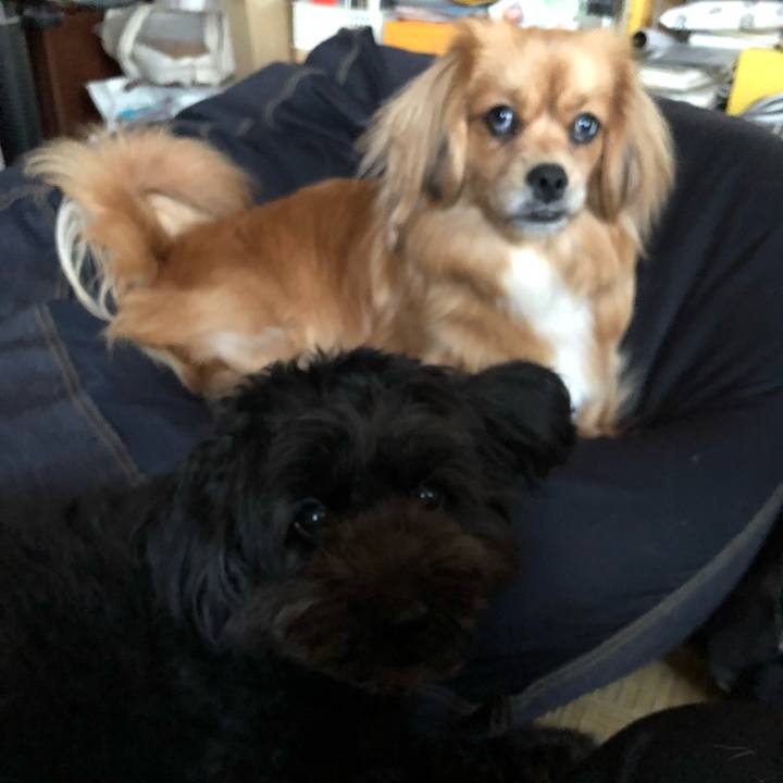 E318d411 13d0 4e29 92dd bd4ee60a6584 1525434923012