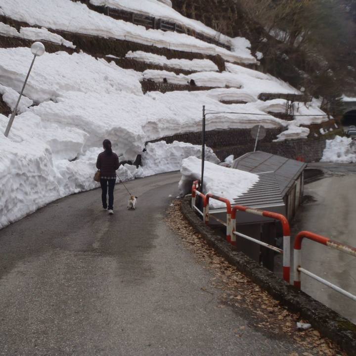 E318d5b5 6789 4a58 aabf 60b8fe572751 1521205174625