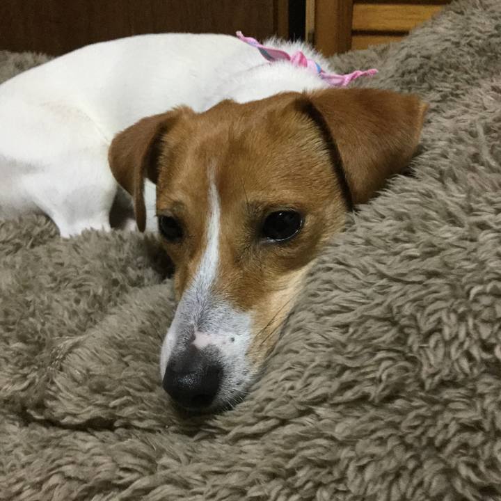 E318e626 b3eb 4d18 868a 2b5f157efeb9 1521112354670