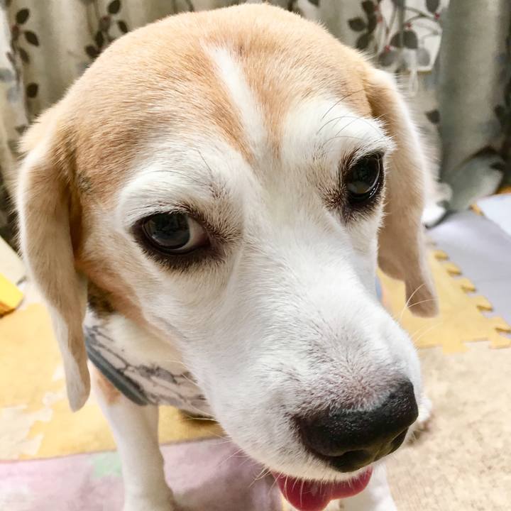 E318eb65 1f0c 4bbf 97c0 beff67e34bcb 1569040670764