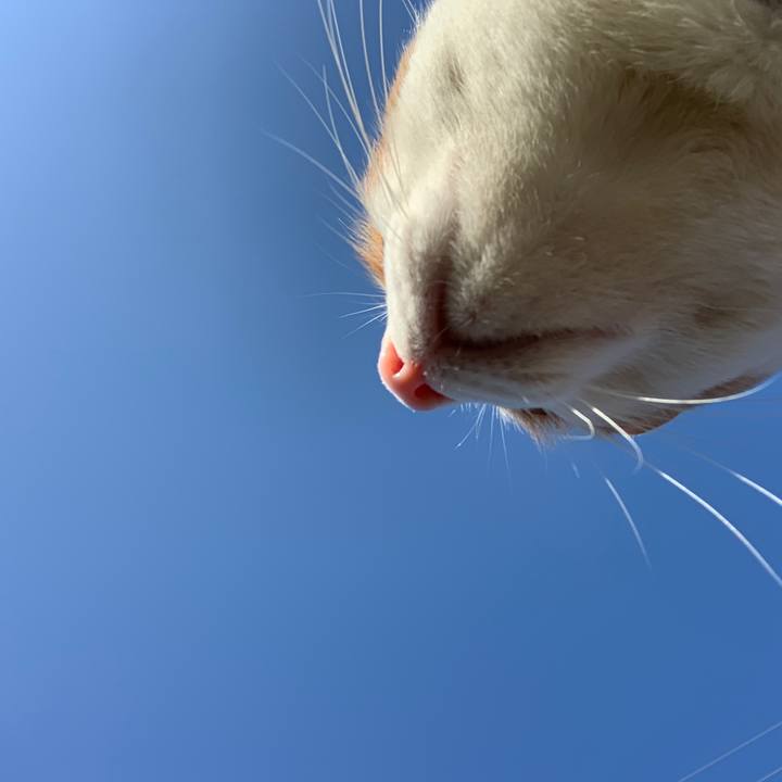 E318ed9b 9907 4280 a281 cd90fec6af02 1583019132977