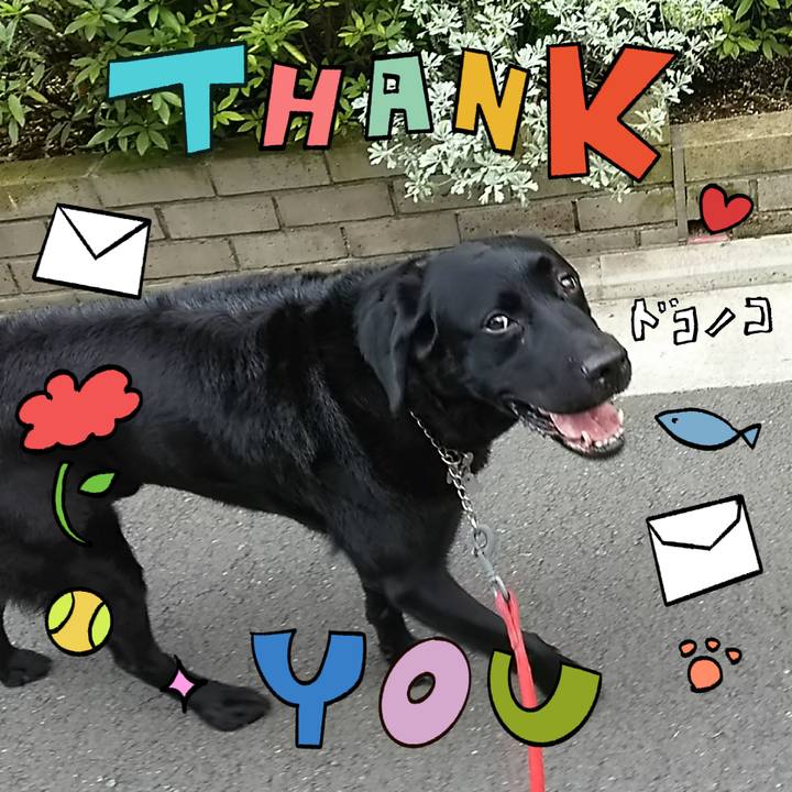 E318fa52 76e9 44dc ba1b 28d53050efcf 1714894754173